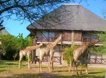 Rhulani Kruger Villa مارلوث بارك المظهر الخارجي الصورة